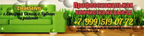 Химчистка ковров и мягкой мебели с выездом на дом