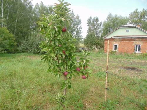 продаю кирпичный дом