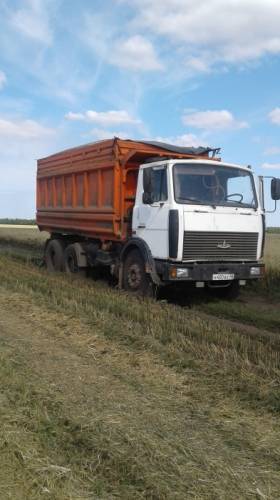 маз самосвал сельхозник