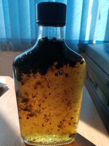 Пчелиный подмор Кемерово