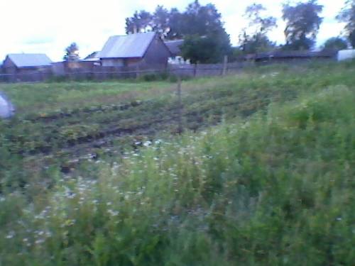 Продам земельный участок недорого