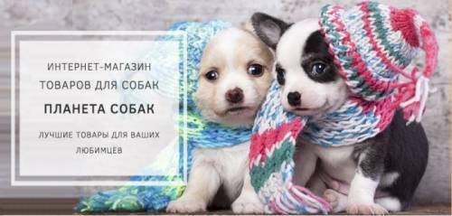 Одежда для собак в Москве