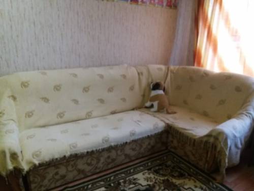 Продам диван  недорого 