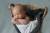Фотосъемка новорожденных (NEWBORN)
