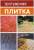 укладка тротуарной плитки