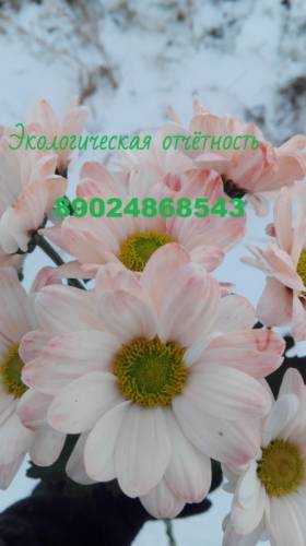 Экологическая отчётность