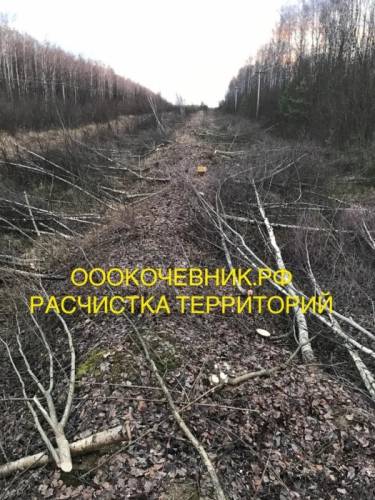 Расчистка заросших земель от кустов , деревьев, корней