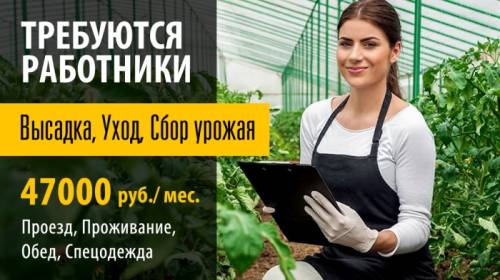 Набор сотрудников по выращиванию урожая в теплицах