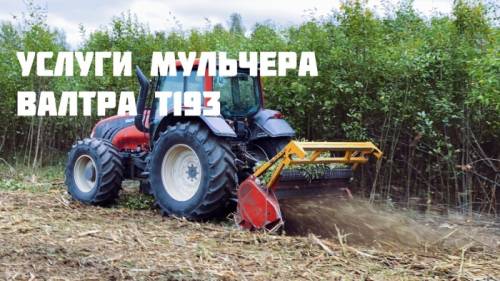 Услуги и аренда мульчера, дробилки веток