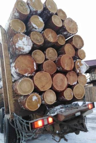 Куплю Экспортник, Пиловочник лиственницы 1-2 сорт от 30 до 36 мм. С места