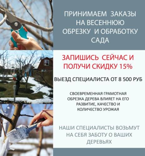 Подготовка сада к весне