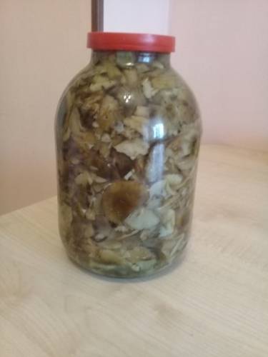 Опята маринованные отличного посола!