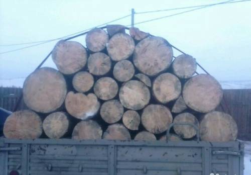 продаю дрова сухие