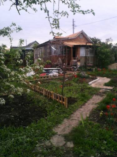 продам дачу около жасминки.