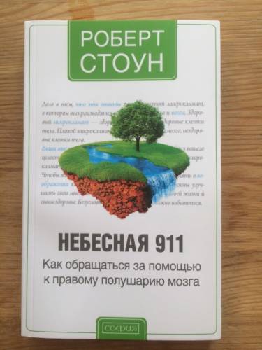 Книга. Небесная 911. Роберт Стоун.
