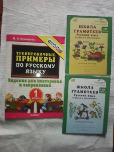 Учитесь грамотно писать (1 класс)