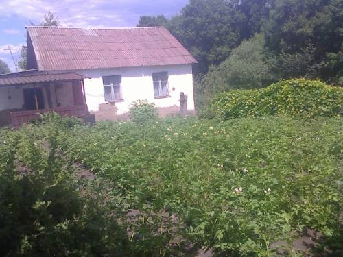 Продам частный дом 