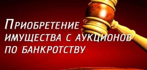 Ищем инвестора для торгов по банкротству.