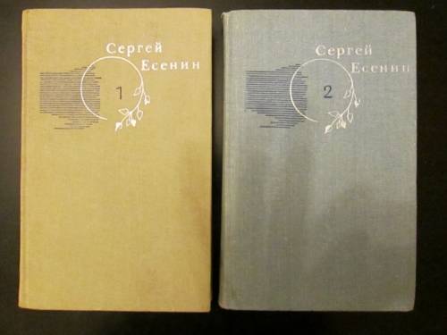 Сергей Есенин (2 тома)