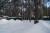 Участок 9 соток, Раменское
