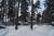 Участок 9 соток, Раменское