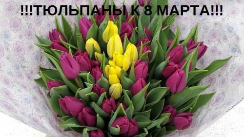 Тюльпаны местные по букам, опт и в розницу