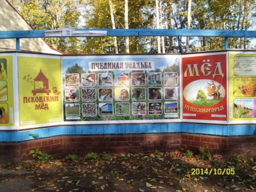 Экскурсионная пасека “ Пчелиная Усадьба“