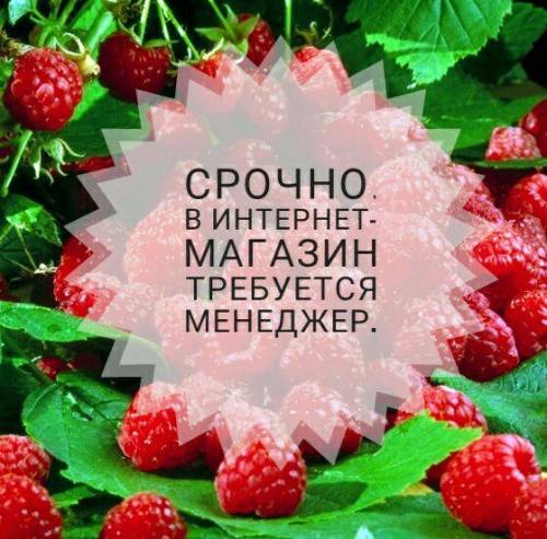 Менеджер интернет магазина.