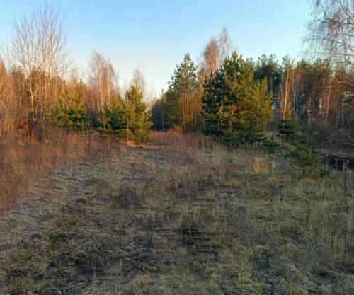 Продам земельный участок 6 соток СТ Текстильщик2