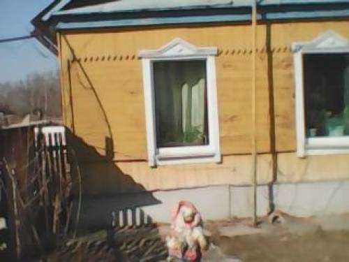 дом в камень-рыболове