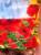 Продам не дорого качественное постельное белье