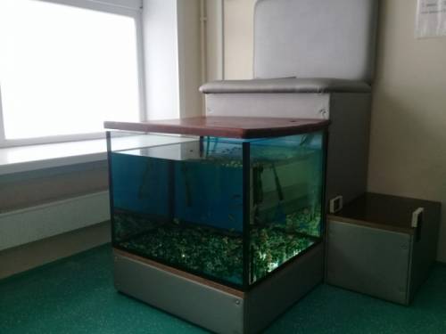 Аквариум для фишпиллинга с креслом и подставкой