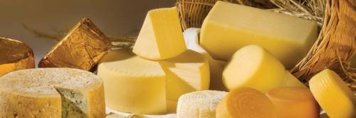 Молочная продукция из Белоруссии оптом