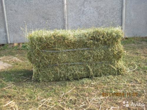 Сено-Суданка в тюках