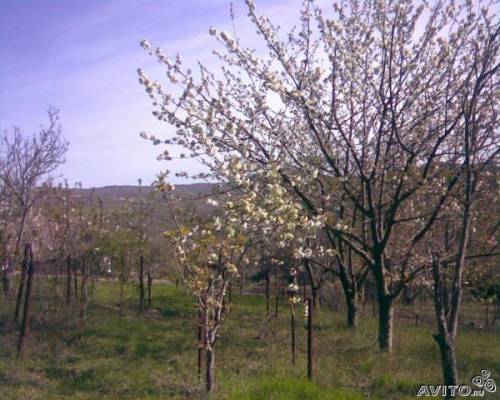 Дачный участок 9 соток
