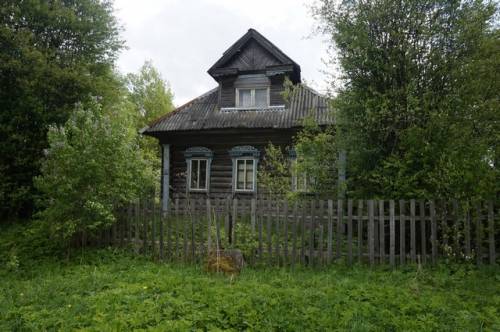 Бревенчатый дом с участком в тихой деревне, рядом с лесом на берегу речки, 