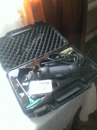 Товары для животных