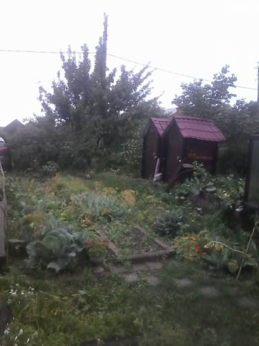 Продам дачу в городе