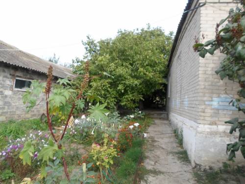 продам дом в ст.Камышевской Ростовской области