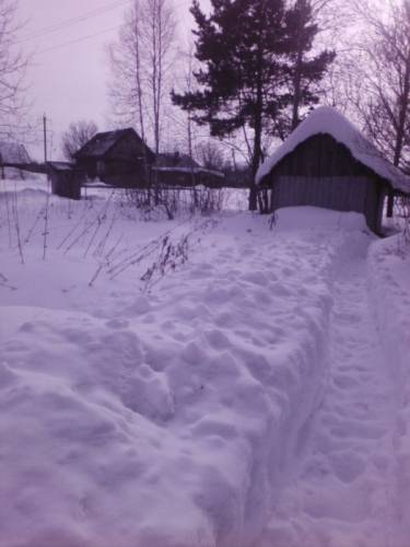 Сад 15 сот. 