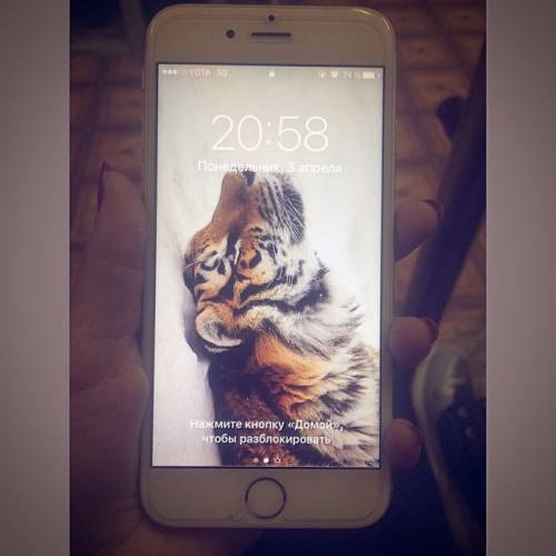 продаю iPhone 6 Silver 16gb
