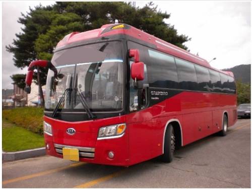 Продам туристический автобус Kia Granbird Sunshine 2010 год