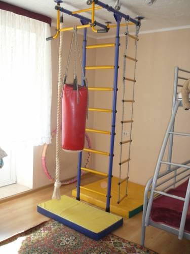 спортивная стенка