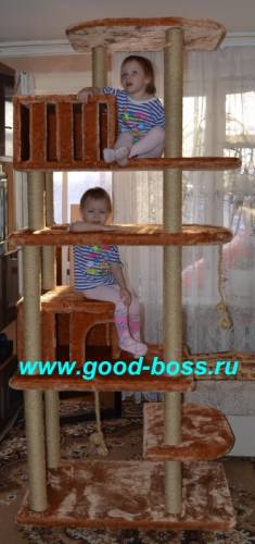 Комплексы для кошек, но могут играть и дети