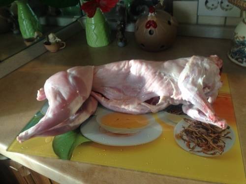 Продам мясо кролика
