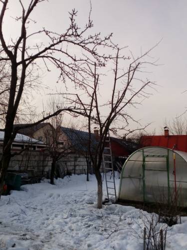 Помощник по хозяйству