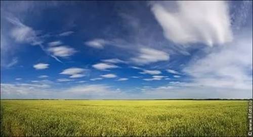 ПРОДАМ ЗЕМЕЛЬНЫЙ УЧАСТОК 15.9 ГА