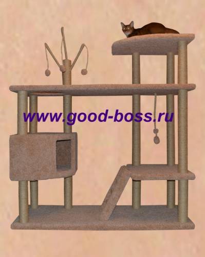 Лучшие комплексы для кошек