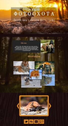 WEB-Дизайн и прочие услуги в Photoshop