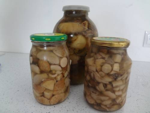 Маринованные  маслята